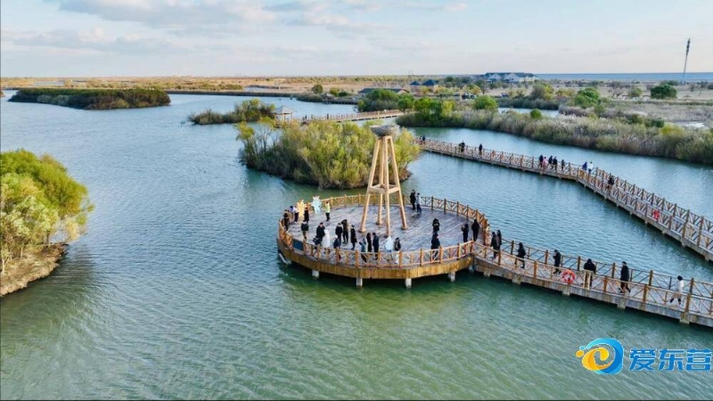 本场比赛的 本场比赛的