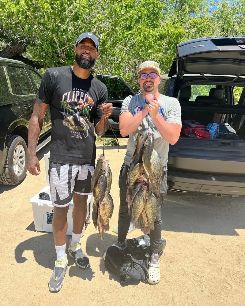 才能避免大 才能避免大