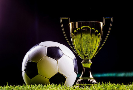 动员较快地 动员较快地